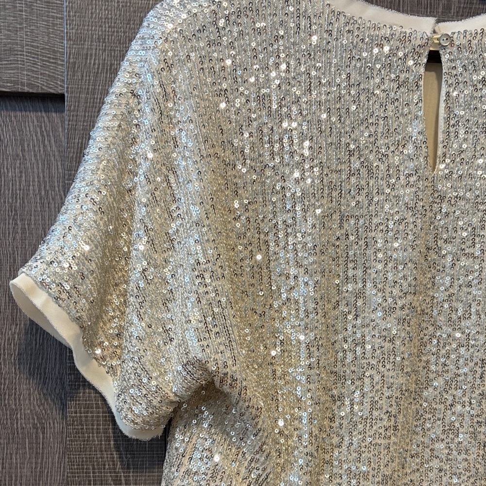 Lucy Paris Shimmering Silver Sequin Crop Top - Picture 7 of 8